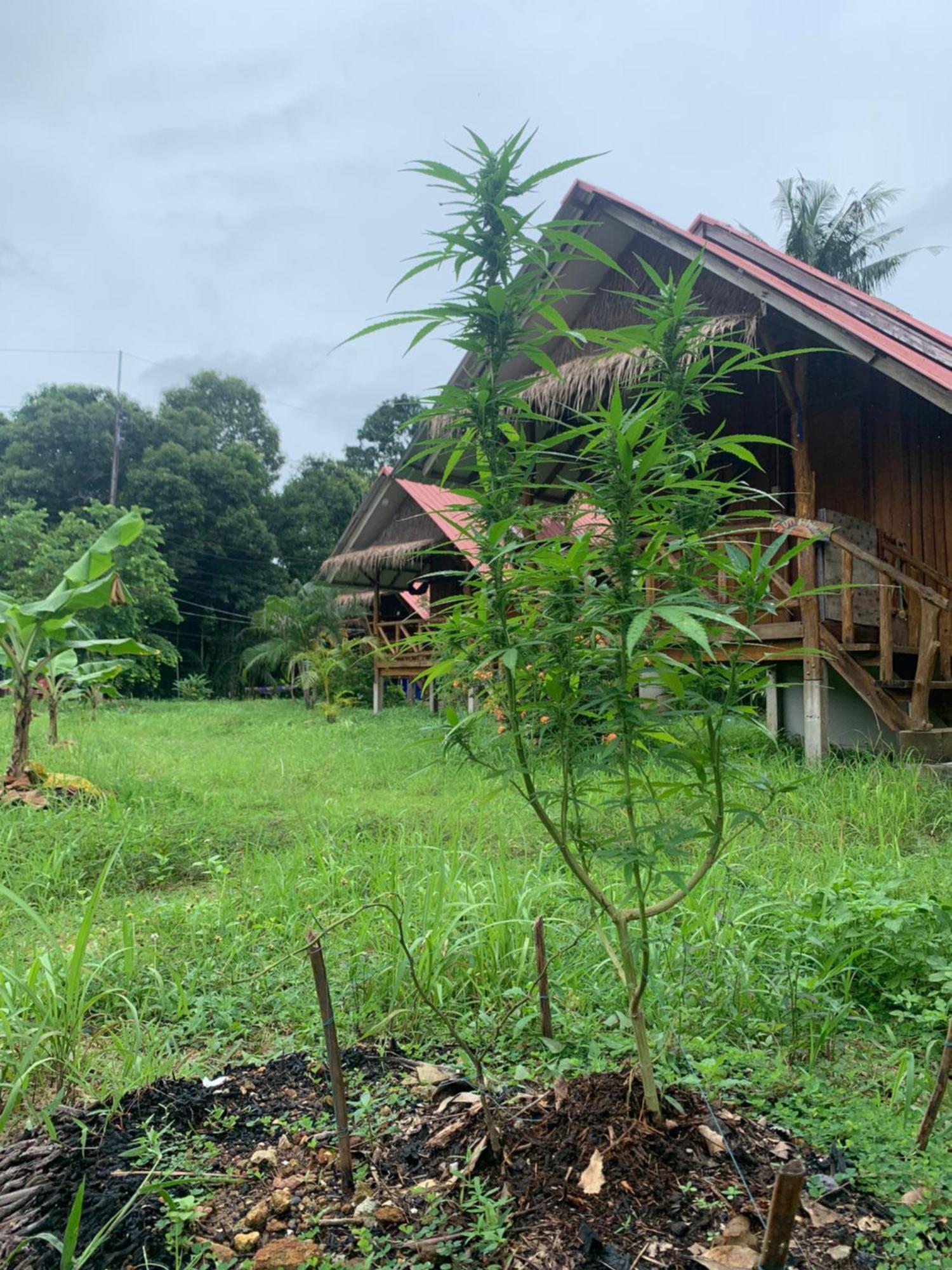 Seree Bungalows & Chill Bar Koh Chang Luaran gambar